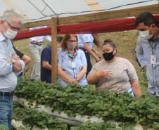 Agroindústrias do Vale do Ivaí ganham impulso com apoio do governo
