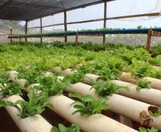 Agroindústrias do Vale do Ivaí ganham impulso com apoio do governo