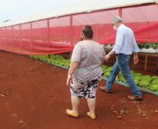 Agroindústrias do Vale do Ivaí ganham impulso com apoio do governo