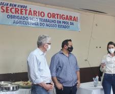 Agroindústrias do Vale do Ivaí ganham impulso com apoio do governo