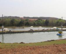 Agroindústrias do Vale do Ivaí ganham impulso com apoio do governo