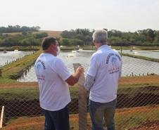 Agroindústrias do Vale do Ivaí ganham impulso com apoio do governo