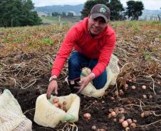 Seab e FAO discutem desafios da agricultura familiar no Paraná