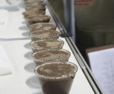 Ficafé reúne produtores, compradores e técnicos em evento virtual