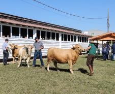 Veterinários do setor privado devem se recadastrar na Adapar em novembro