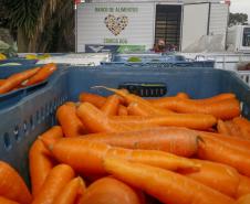 Paraná realiza eventos em comemoração ao Dia Mundial da Alimentação