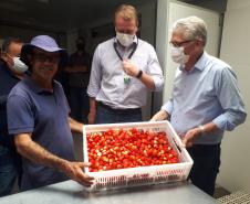 Norte Pioneiro recebe benfeitorias e equipamentos agrícolas