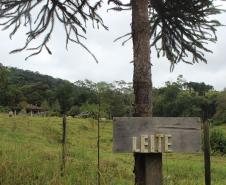Programa estadual de distribuição de leite leva segurança alimentar ao Vale do Ribeira
