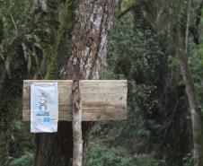 Programa estadual de distribuição de leite leva segurança alimentar ao Vale do Ribeira