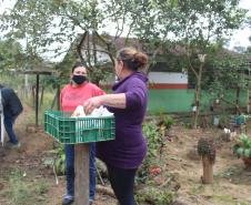 Programa estadual de distribuição de leite leva segurança alimentar ao Vale do Ribeira