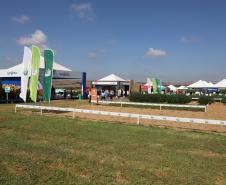 Tocantins busca no Paraná inspiração para fomentar cooperativismo na agricultura
