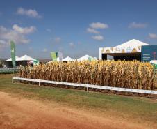 Tocantins busca no Paraná inspiração para fomentar cooperativismo na agricultura