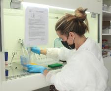Laboratório da Adapar é credenciado para diagnóstico de Influenza Aviária e Doença de Newcastle por PCR em tempo real