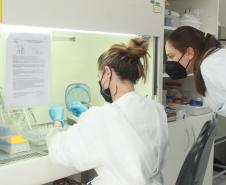 Laboratório da Adapar é credenciado para diagnóstico de Influenza Aviária e Doença de Newcastle por PCR em tempo real