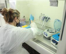 Laboratório da Adapar é credenciado para diagnóstico de Influenza Aviária e Doença de Newcastle por PCR em tempo real