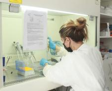 Laboratório da Adapar é credenciado para diagnóstico de Influenza Aviária e Doença de Newcastle por PCR em tempo real