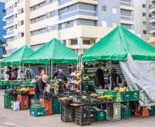 feira orgânicos