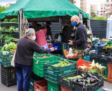 feira orgânicos