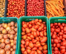 feira orgânicos