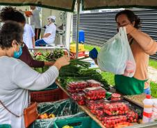 feira orgânicos