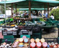 feira orgânicos