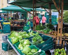 feira orgânicos