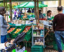 feira orgânicos