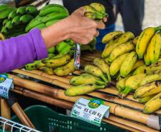 feira orgânicos