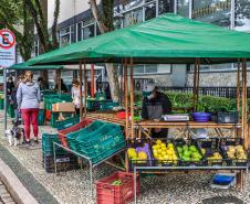 feira orgânicos