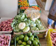 Compras públicas impulsionam produção e consumo de alimentos orgânicos no Paraná