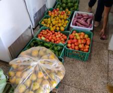 Compras públicas impulsionam produção e consumo de alimentos orgânicos no Paraná