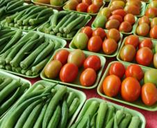 Compras públicas impulsionam produção e consumo de alimentos orgânicos no Paraná