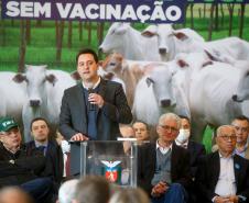 Um ano após conquista sanitária, Paraná reúne mais condições para crescer, diz governador