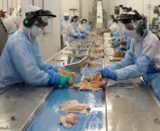 VBP Agropecuário do Paraná cresce 41%  em 2021 e alcança R$ 180,4 bilhões