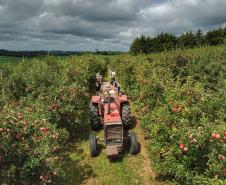VBP Agropecuário do Paraná cresce 41%  em 2021 e alcança R$ 180,4 bilhões