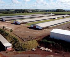 VBP Agropecuário do Paraná cresce 41%  em 2021 e alcança R$ 180,4 bilhões