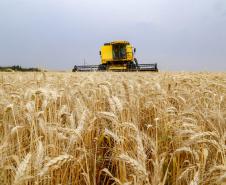 Mesmo com chuvas que atrasaram colheita e plantio, previsão é de 25,7 milhões de toneladas de grãos