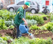 Programas de Governo do Estado fortalecem segurança alimentar no Paraná