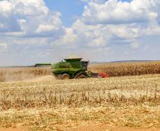 Deral lança novas edições do Prognóstico Agropecuário com perspectivas sobre seis produtos