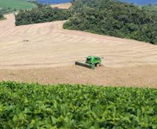 Deral lança novas edições do Prognóstico Agropecuário com perspectivas sobre seis produtos