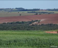 Figura 7 - Cabeceira de drenagem em rampa convexa-côncava-convergente