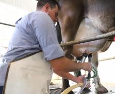 Deral lança novas edições do Prognóstico Agropecuário com perspectivas sobre seis produtos