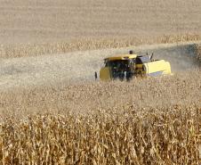 Setor agropecuário do Paraná alcançou os maiores patamares da história nos últimos anos