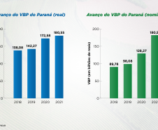 Setor agropecuário do Paraná alcançou os maiores patamares da história nos últimos anos