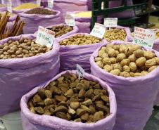 Maioria das nozes e castanhas do Brasil tem origem na Turquia e no Chile, aponta boletim