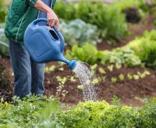 Paraná fortalece segurança alimentar com apoio a produtores e atenção a vulneráveis