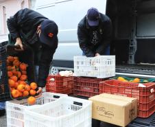 Paraná fortalece segurança alimentar com apoio a produtores e atenção a vulneráveis