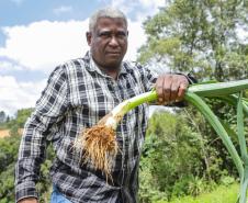 Líder nacional em alimentos orgânicos, Paraná investe para ampliar produção e consumo