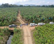 Com foco em inovação, defesa agropecuária do Paraná ganhou grande impulso nos últimos anos