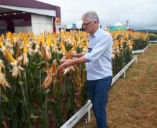 Eventos técnicos do agronegócio divulgam inovações no Norte do Paraná